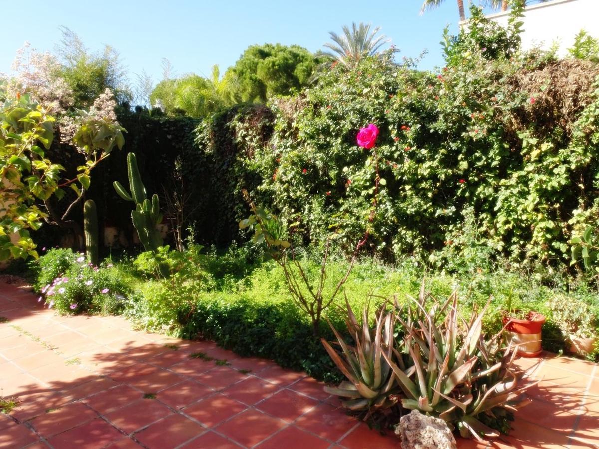 Villa Del Duque, Gandia - Playa de Gandia Екстер'єр фото