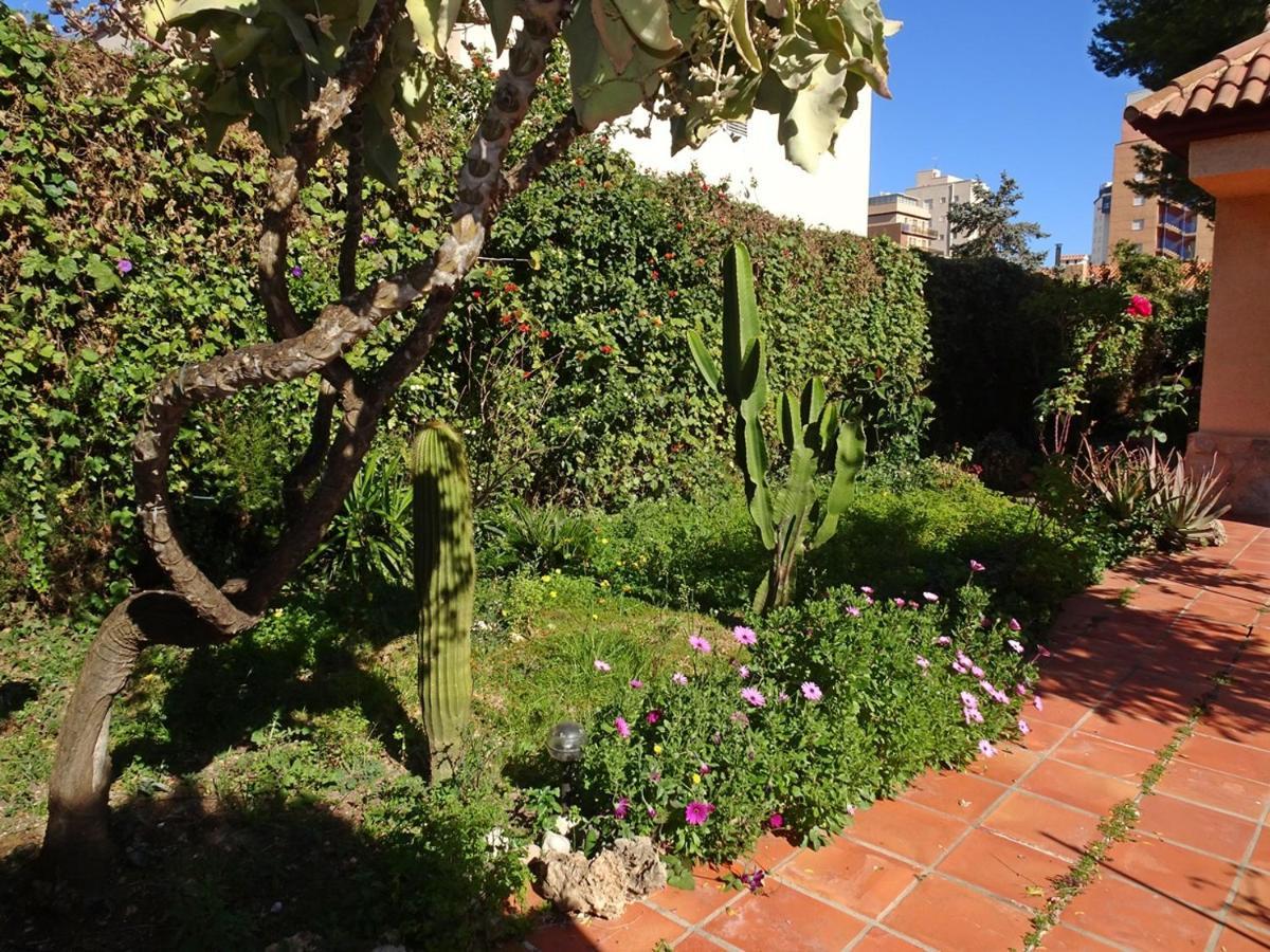 Villa Del Duque, Gandia - Playa de Gandia Екстер'єр фото